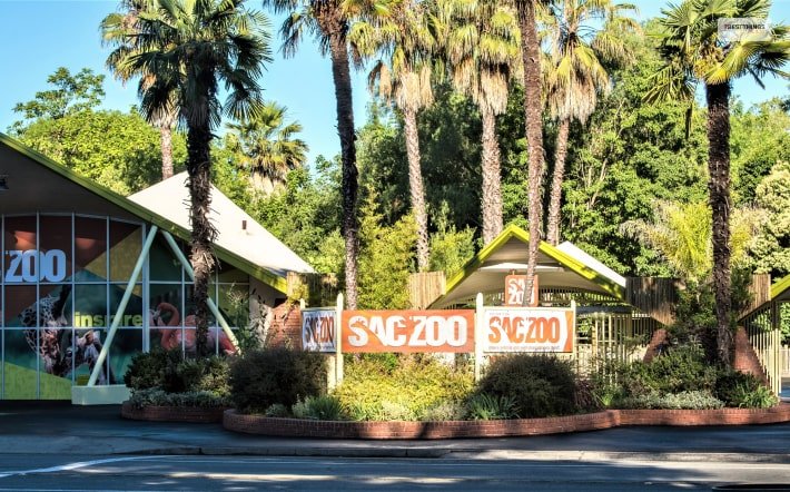 Sacramento Zoo  